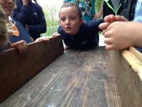 IMG_3414.JPG